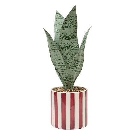 Atmosfera de plante artificiale Sansevieria Chéri, 38 cm