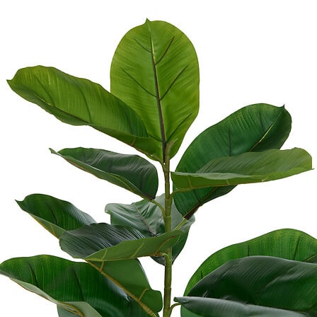 Plantă artificială Atmosphere Ficus Sky, 145 cm