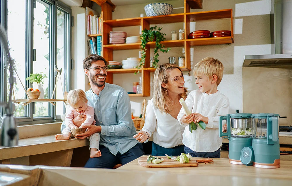 Aparat de călcat cu abur 6 luni+, 4 în 1 Nutribaby din sticlă