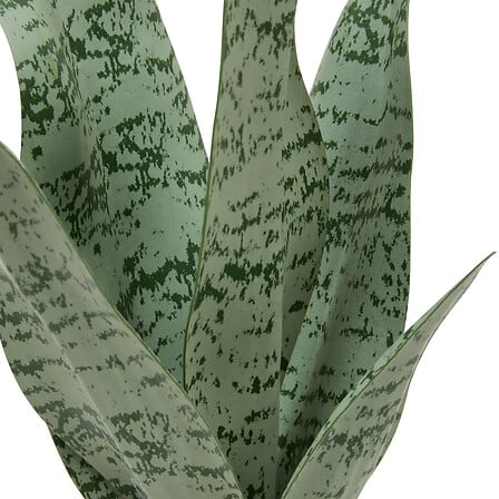 Atmosfera de plante artificiale Sansevieria Chéri, 38 cm