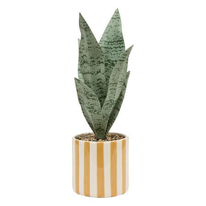Atmosfera de plante artificiale Sansevieria Chéri, 38 cm