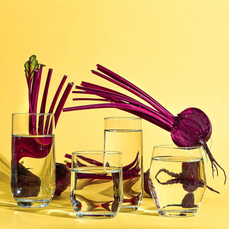 Set pahare cocktail LAV Sude, 315 ml, 6 buc.