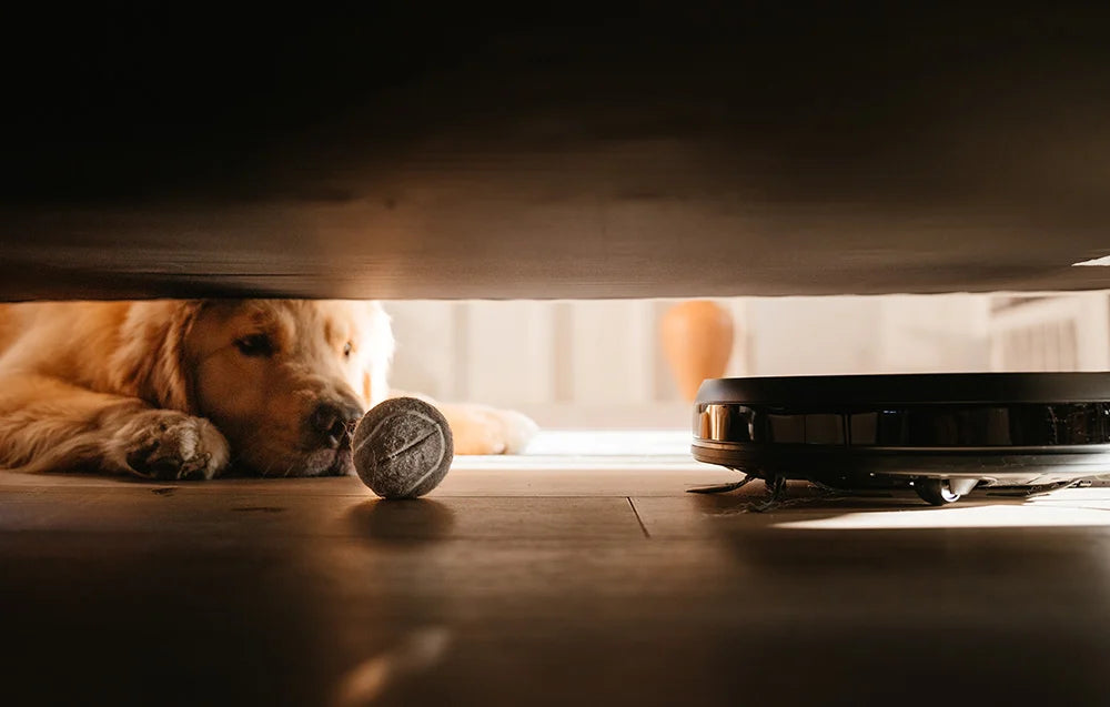 Aspirator robot AIRROBO P20, 35 W, funcționare 120 min, recipient 600 ml, filtru HEPA, negru