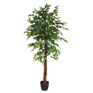 Ficus artificial cu atmosferă, 180 cm