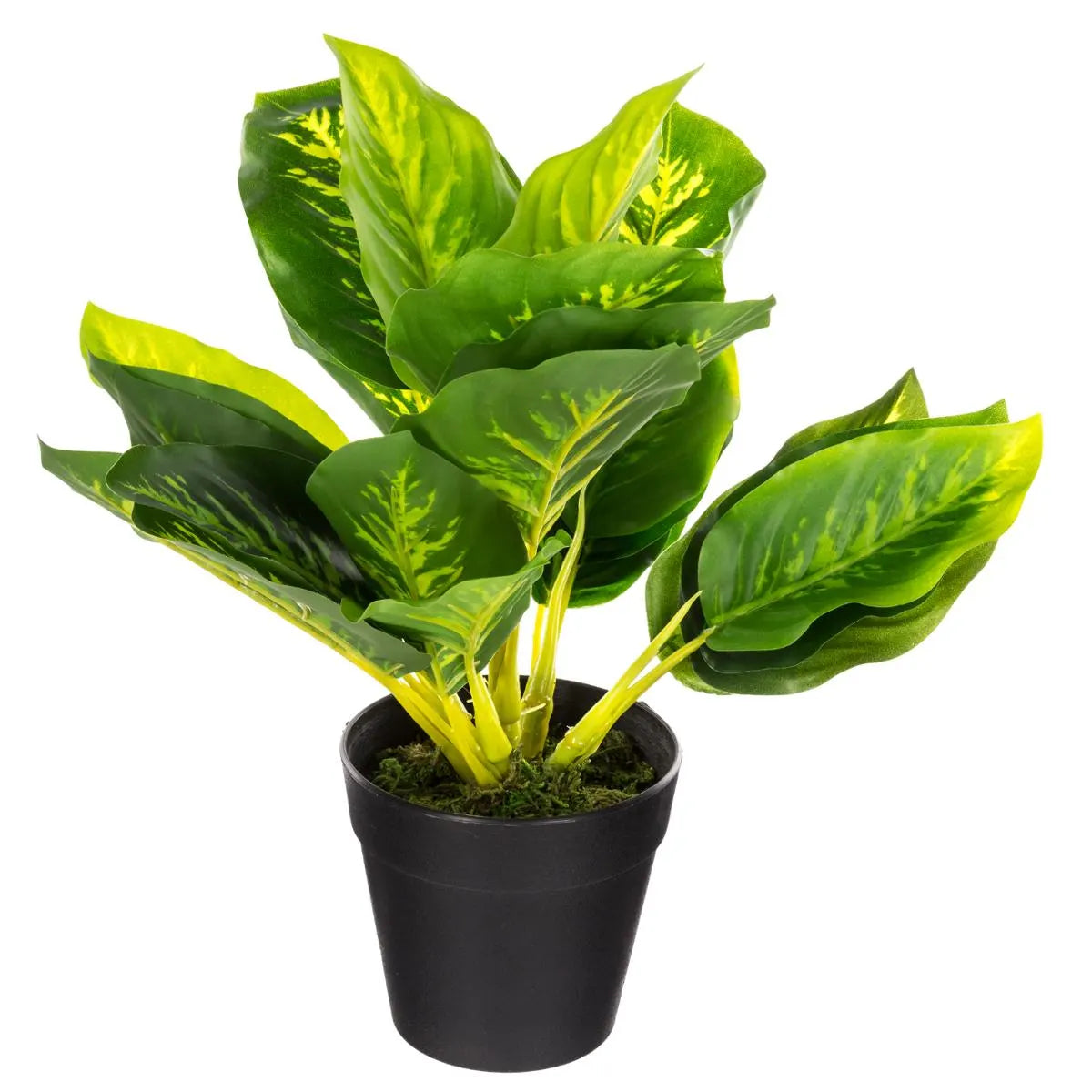 Atmosferă vegetală artificială, 30 cm, diverse specii