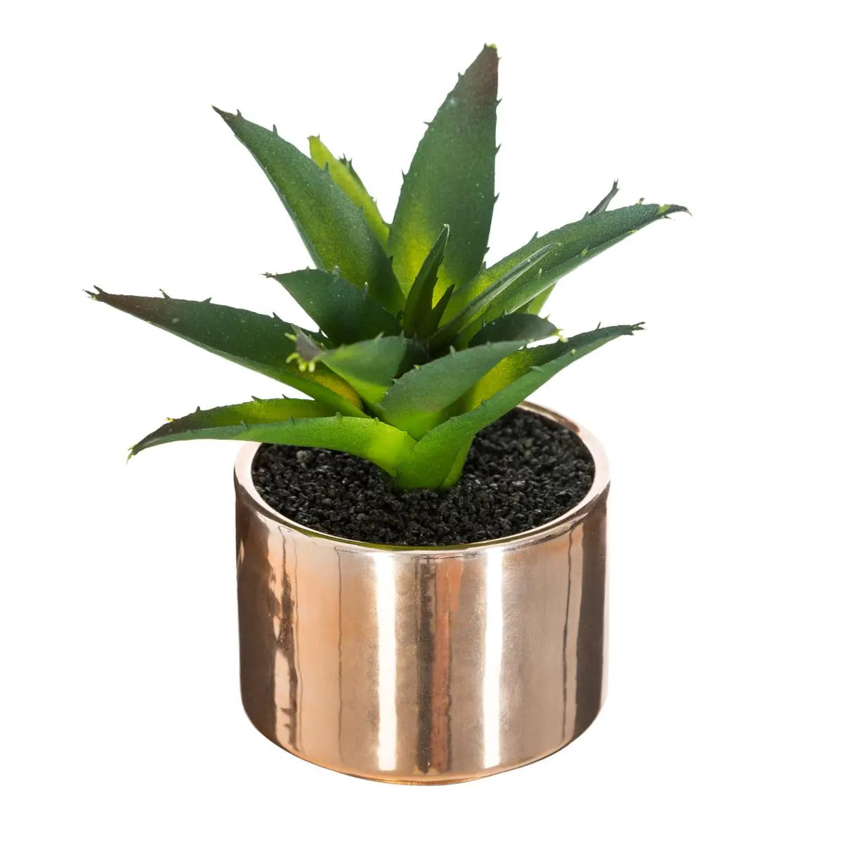 Atmosferă vegetală artificială, 15 cm, diverse specii