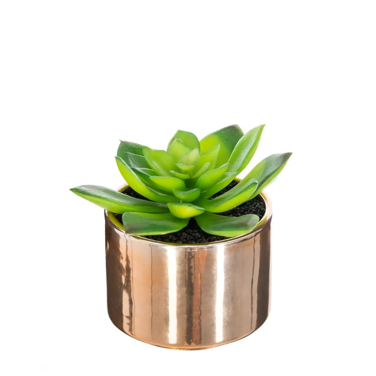 Atmosferă vegetală artificială, 15 cm, diverse specii