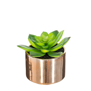 Atmosferă vegetală artificială, 15 cm, diverse specii