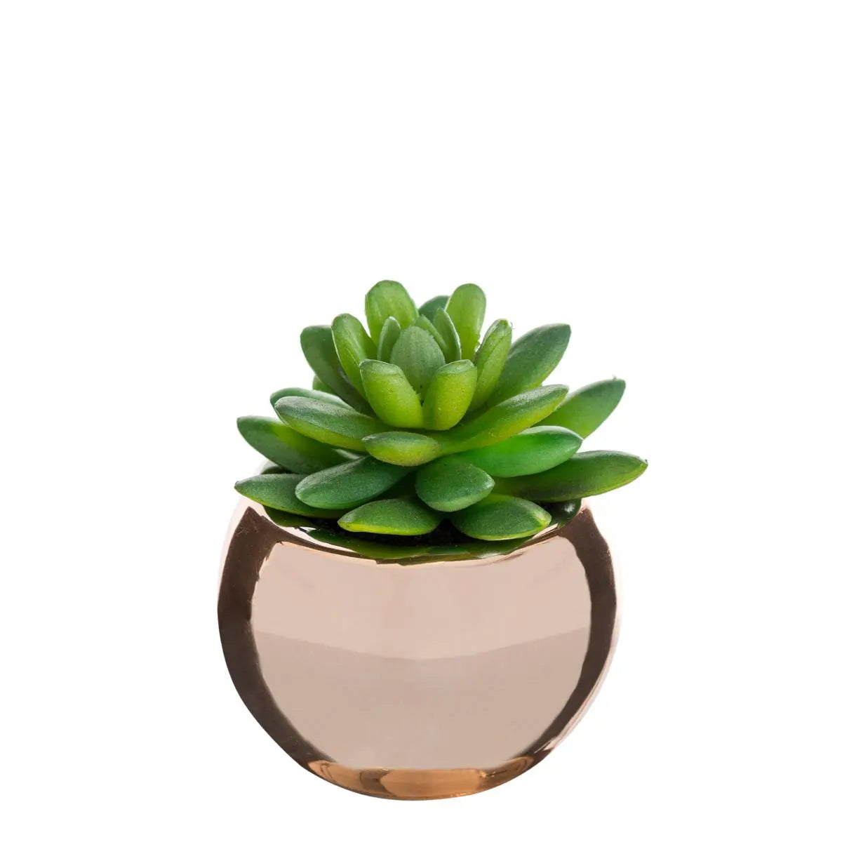 Atmosferă vegetală artificială, 15 cm, diverse specii