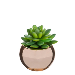 Atmosferă vegetală artificială, 15 cm, diverse specii