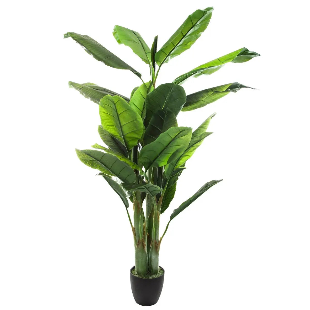 Plantă artificială Atmosphera Bananier, 170 cm