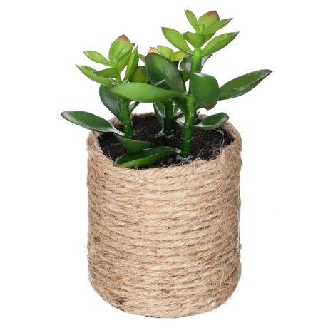 Atmosferă vegetală artificială, 16 cm, diverse specii
