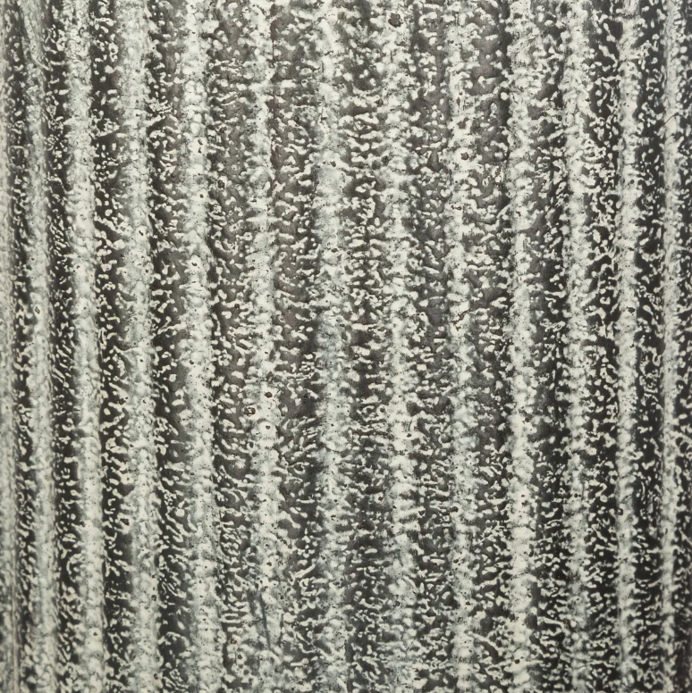 Plantă artificială Atmosphera