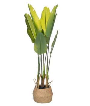 Plantă artificială Atmosphera