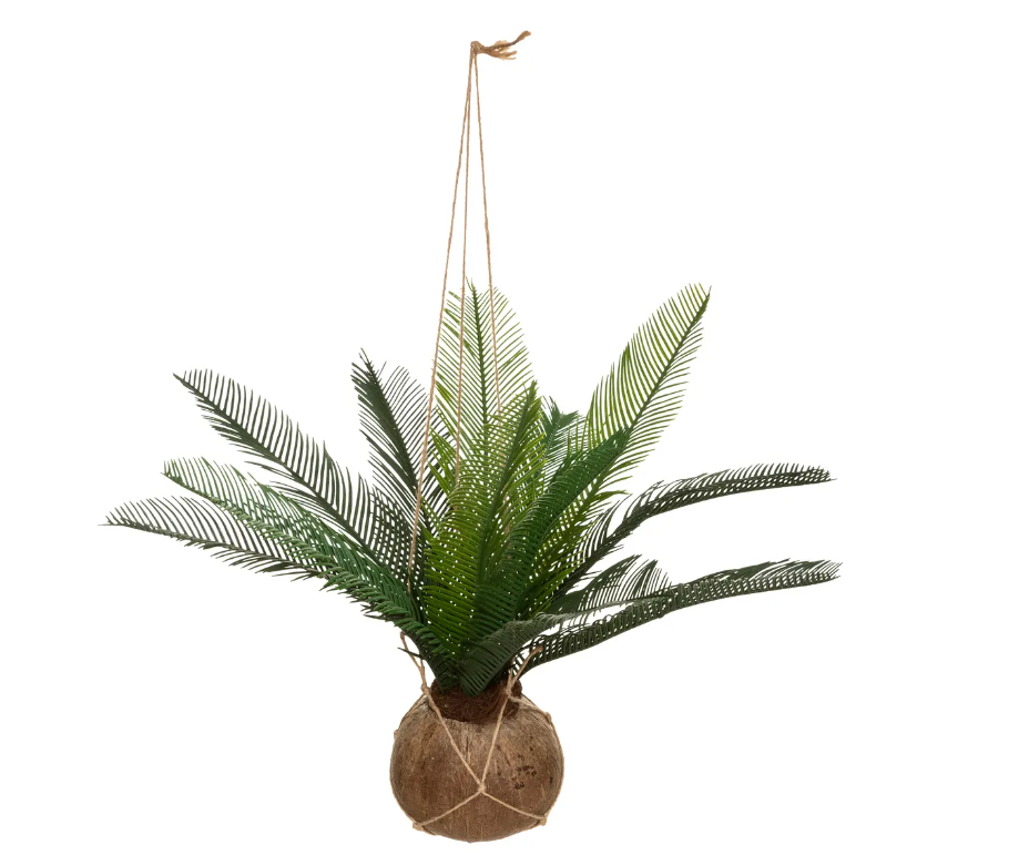 Atmosferă artificială de plante Cuba