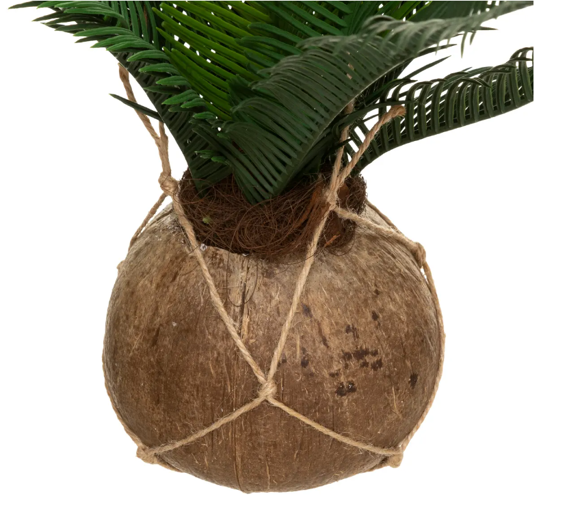 Atmosferă artificială de plante Cuba