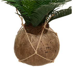 Atmosferă artificială de plante Cuba