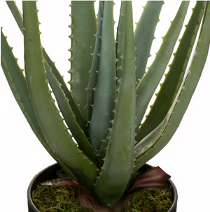 Plantă artificială Atmosphera