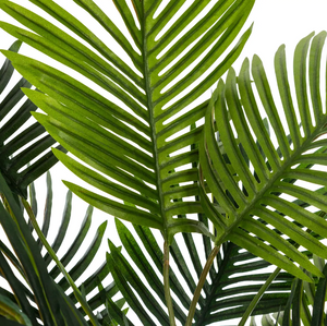 Plantă artificială Atmosphera Palm, ceramică, 72 cm