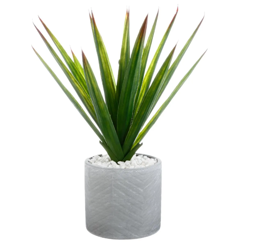 Atmosferă artificială din plante