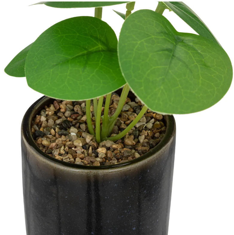 Atmosferă artificială din plante