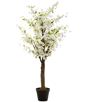 Atmosferă artificială din plante