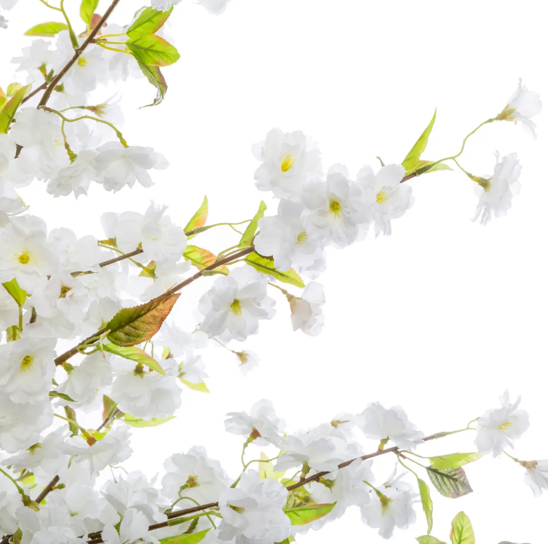 Atmosferă artificială din plante