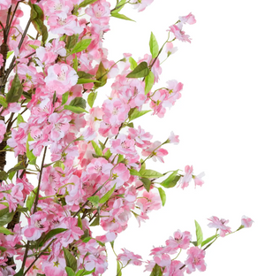 Atmosferă artificială din plante