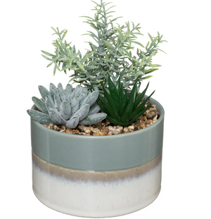 Atmosferă artificială din plante