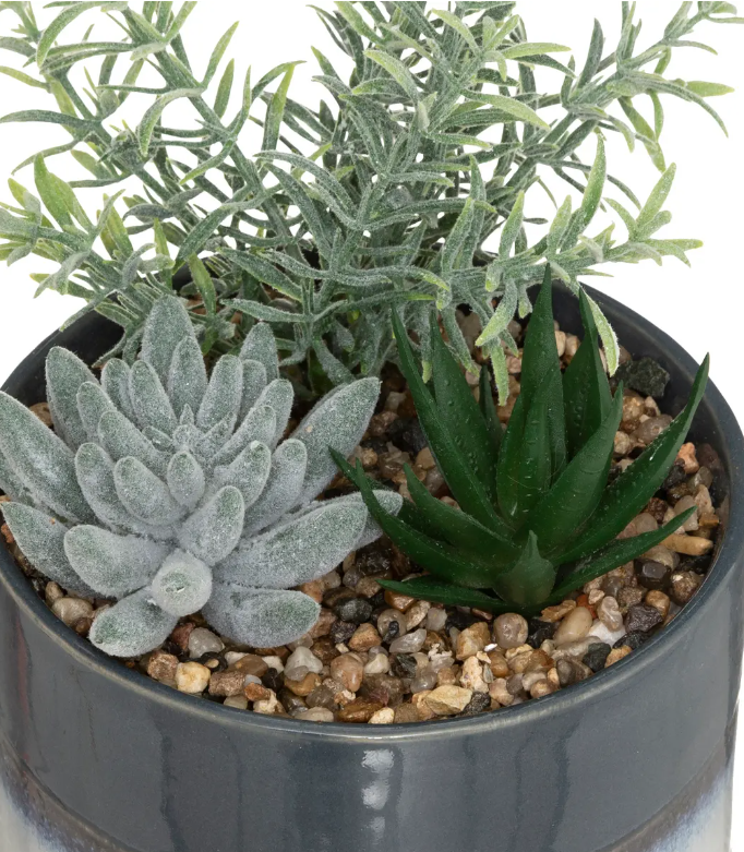 Atmosferă artificială din plante