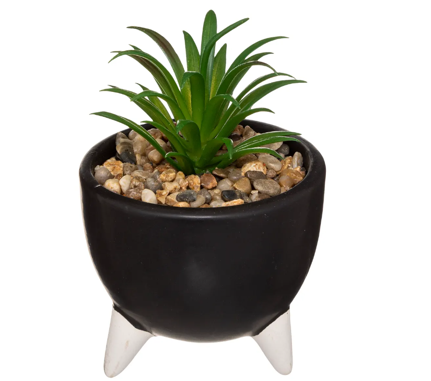 Atmosferă artificială din plante