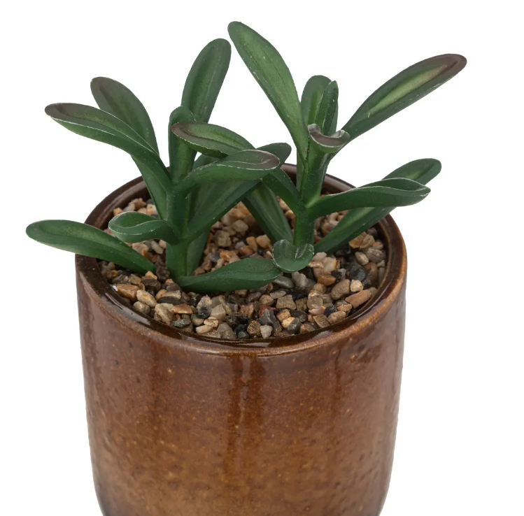 Atmosferă artificială din plante