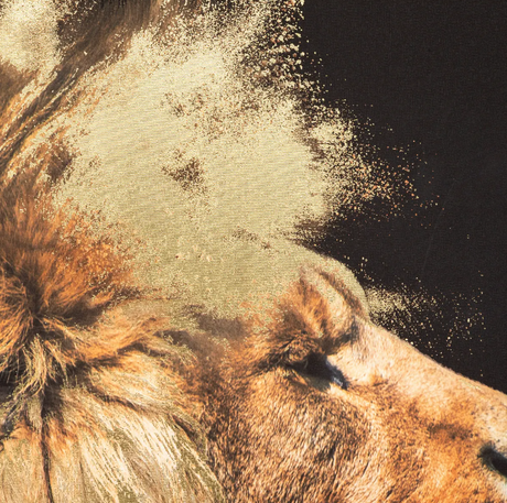 Pictură atmosferă Leu, 60x90 cm