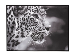 Pictură atmosferă Leopard, 58x58 cm