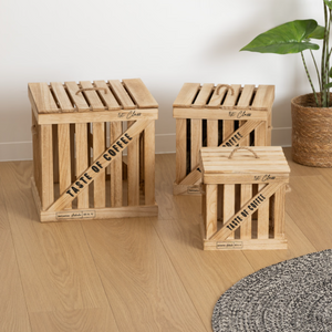 Set de cutii de depozitare Atmosphera Denys, 3 buc, Paulownia