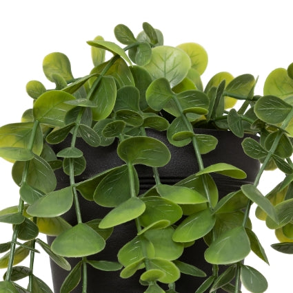 Atmosferă de plantă artificială Eucalipt Merly, 51 cm, diverse specii