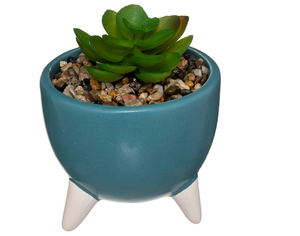 Atmosferă artificială din plante