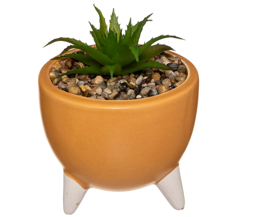 Atmosferă artificială din plante