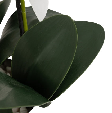 Flori artificiale Atmosphera Mick Orchid, 80 cm