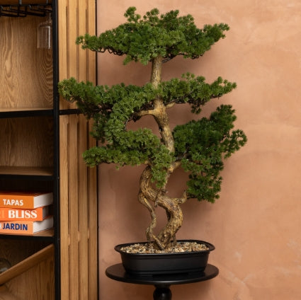 Plantă artificială Atmosphera Polin Bonsai, 86 cm