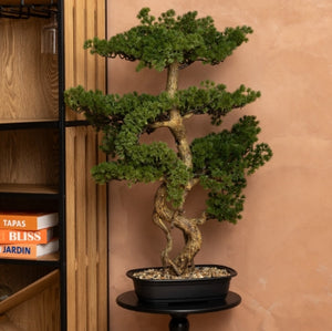 Plantă artificială Atmosphera Polin Bonsai, 86 cm