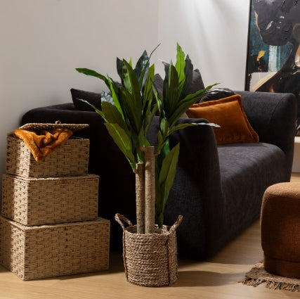 Atmosfera de plante artificiale Dracena Tree Onia, 105 cm