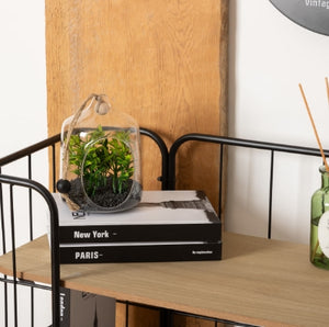 Colț de familie cu atmosferă de plantă artificială, 15 cm