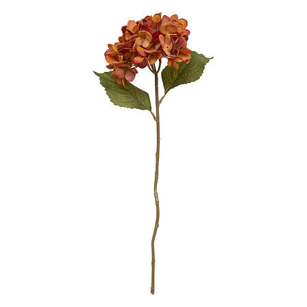 Tulpină decorativă de hortensie Atmosphera Fria, Asortate, 62 cm