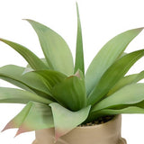 Plantă artificială Atmosphera Sien Agava, 48 cm, ceramică