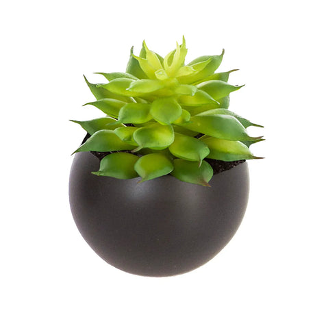 Suculentă artificială Atmosphere, 6 cm, diverse specii