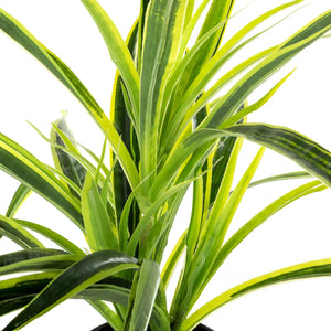 Atmosferă vegetală artificială, 30 cm, diverse specii