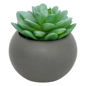Suculentă artificială Atmosphere, 13 cm, diverse specii
