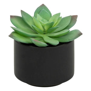 Suculentă artificială Atmosphere, 13 cm, diverse specii