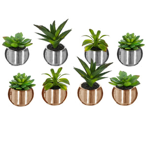 Atmosferă vegetală artificială, 15 cm, diverse specii